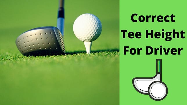 Correct Tee Height For Driver